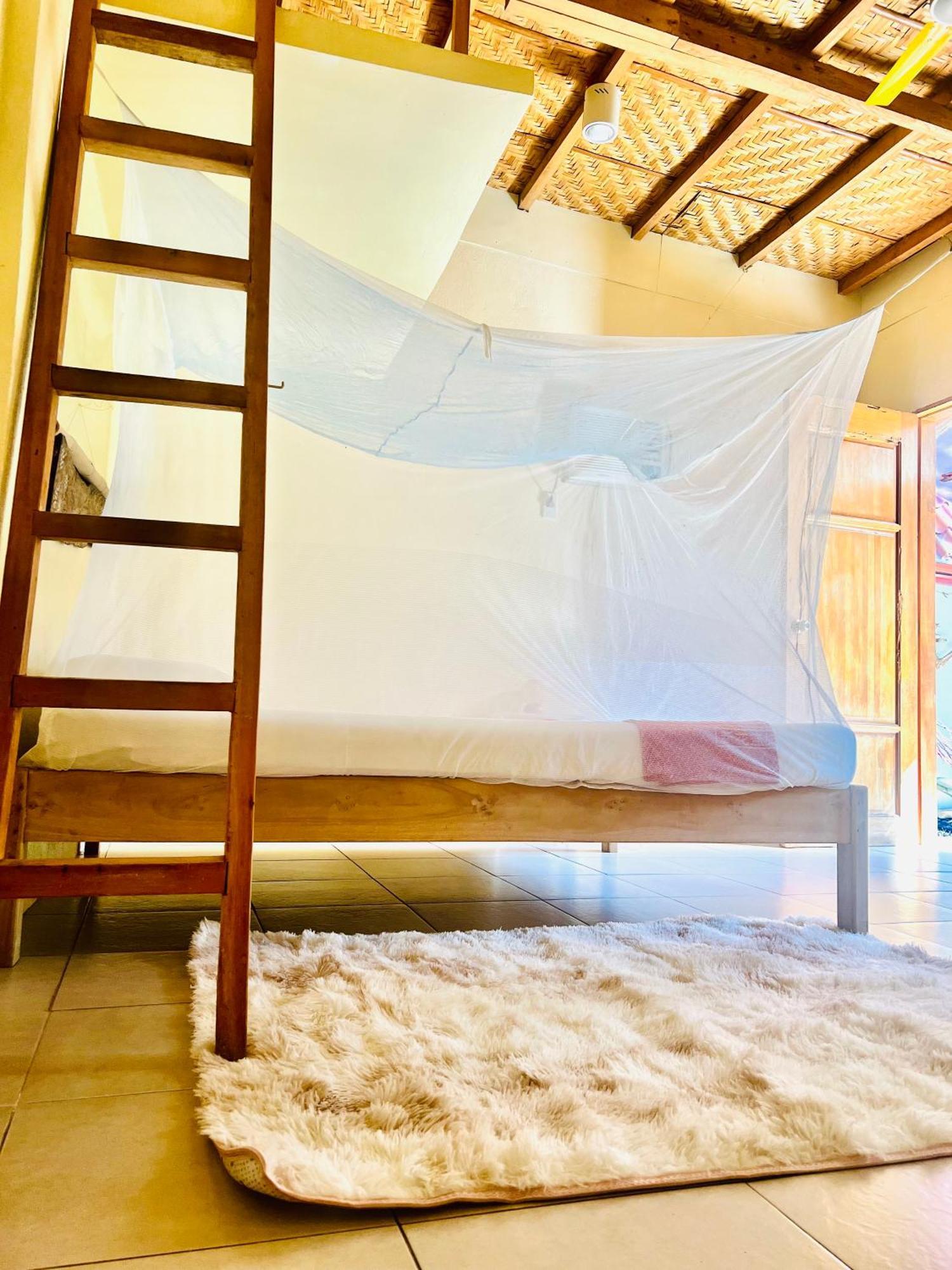Boholala Hostel Đảo Đảo Panglao Ngoại thất bức ảnh